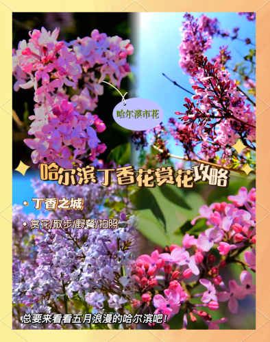 亚洲偷精品国产五月丁香麻豆新闻稿中文字幕五月丁花香