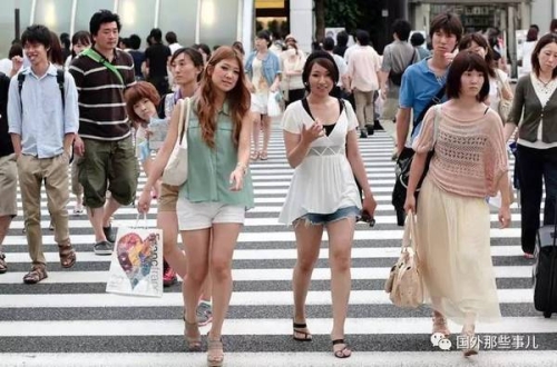 日本精品一区二区快播，日本文化与时尚的最新动态