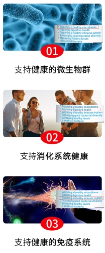 国产精品视频2358国产精品视频，聚焦高质量内容