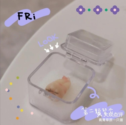 久久99青青精品，免费观看，探索精彩内容