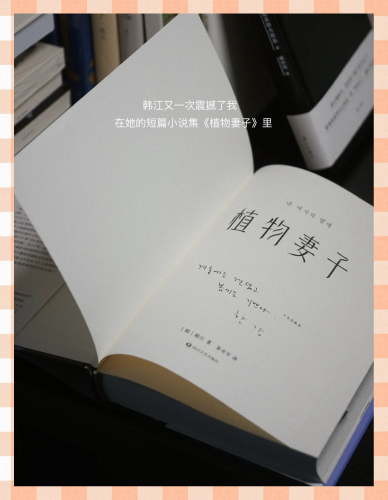 激情 小说 亚洲 图片 伦激情小说，亚洲之韵，图片与伦的交织